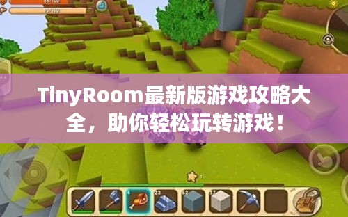 TinyRoom最新版游戲攻略大全，助你輕松玩轉(zhuǎn)游戲！