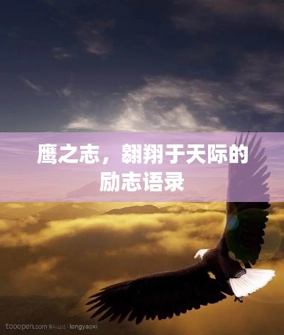 鷹之志，翱翔于天際的勵(lì)志語(yǔ)錄