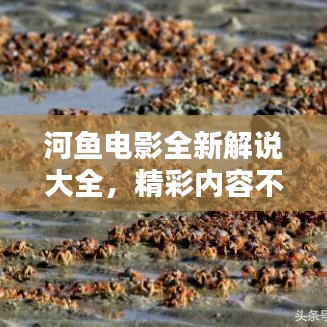 采椽不斫 第2頁(yè)