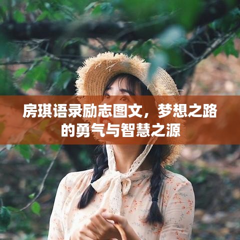 房琪語(yǔ)錄勵(lì)志圖文，夢(mèng)想之路的勇氣與智慧之源