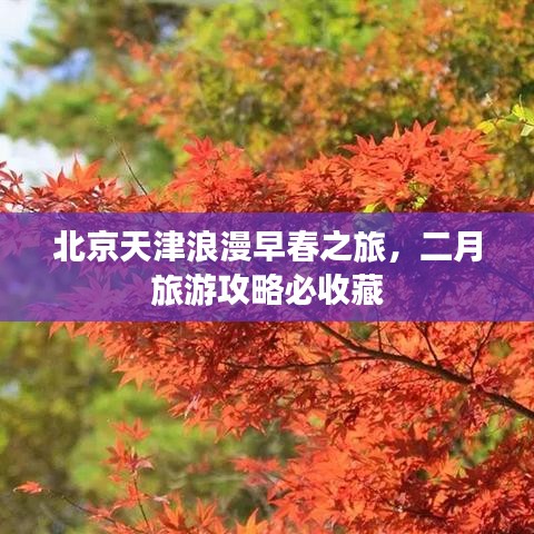 北京天津浪漫早春之旅，二月旅游攻略必收藏