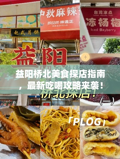 益陽(yáng)橋北美食探店指南，最新吃喝攻略來襲！
