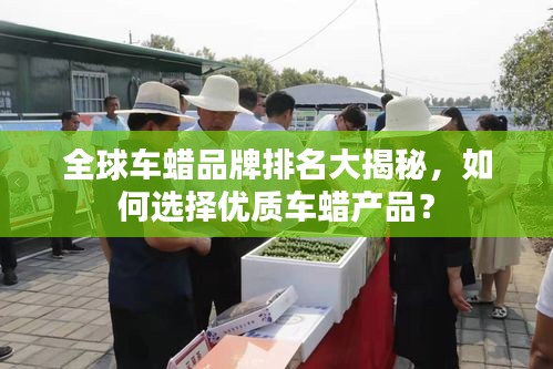 全球車蠟品牌排名大揭秘，如何選擇優(yōu)質(zhì)車蠟產(chǎn)品？