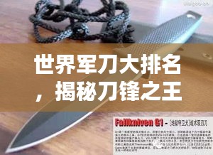 世界軍刀大排名，揭秘刀鋒之王的神秘面紗！