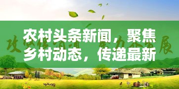 黑天摸地 第2頁(yè)