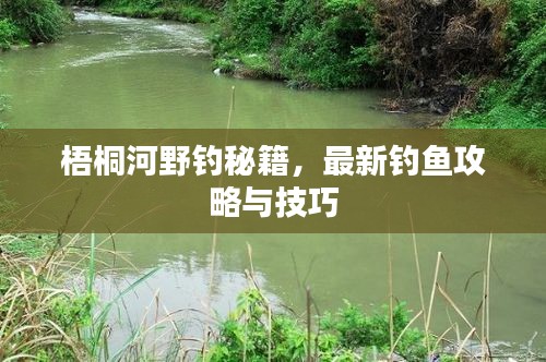 梧桐河野釣秘籍，最新釣魚攻略與技巧