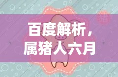 百度解析，屬豬人六月運(yùn)勢(shì)全面解讀