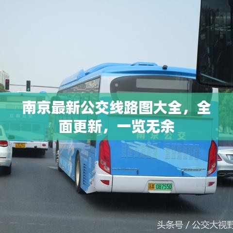 南京最新公交線路圖大全，全面更新，一覽無余