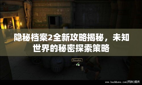 隱秘檔案2全新攻略揭秘，未知世界的秘密探索策略