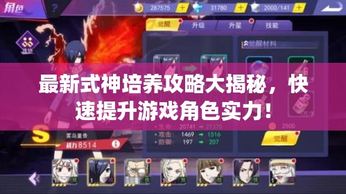 最新式神培養(yǎng)攻略大揭秘，快速提升游戲角色實(shí)力！