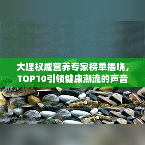 大理權(quán)威營養(yǎng)專家榜單揭曉，TOP10引領(lǐng)健康潮流的聲音