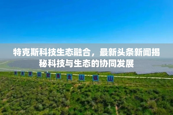 特克斯科技生態(tài)融合，最新頭條新聞揭秘科技與生態(tài)的協(xié)同發(fā)展