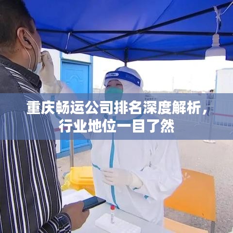 重慶暢運(yùn)公司排名深度解析，行業(yè)地位一目了然