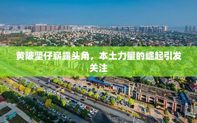 黃陂堅(jiān)仔嶄露頭角，本土力量的崛起引發(fā)關(guān)注
