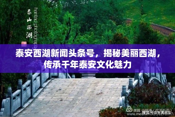 泰安西湖新聞頭條號，揭秘美麗西湖，傳承千年泰安文化魅力