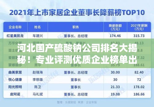河北國產(chǎn)硫酸鈉公司排名大揭秘！專業(yè)評測優(yōu)質(zhì)企業(yè)榜單出爐！