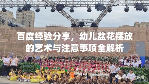 百度經(jīng)驗分享，幼兒盆花擺放的藝術(shù)與注意事項全解析