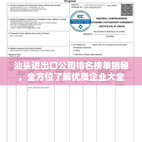 汕頭進(jìn)出口公司排名榜單揭秘，全方位了解優(yōu)質(zhì)企業(yè)大全