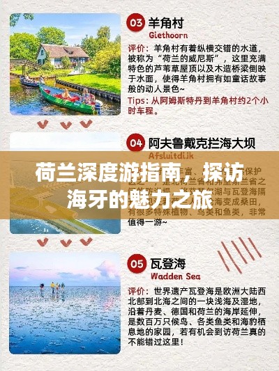 荷蘭深度游指南，探訪海牙的魅力之旅