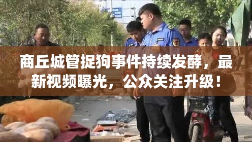 商丘城管捉狗事件持續(xù)發(fā)酵，最新視頻曝光，公眾關(guān)注升級！