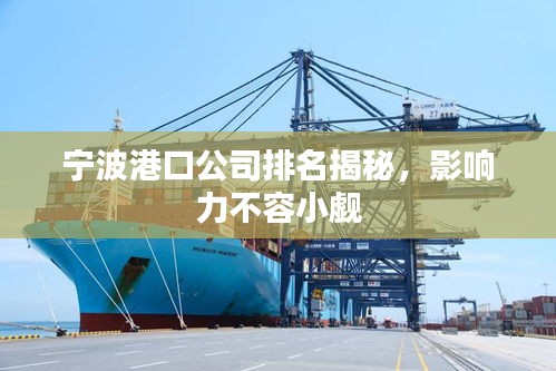 寧波港口公司排名揭秘，影響力不容小覷