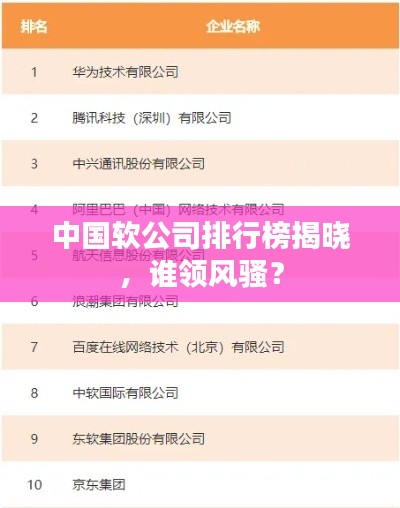 中國(guó)軟公司排行榜揭曉，誰(shuí)領(lǐng)風(fēng)騷？