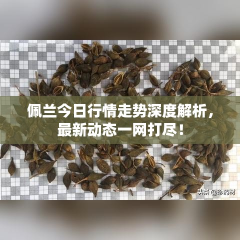 張睢陽(yáng)齒 第2頁(yè)