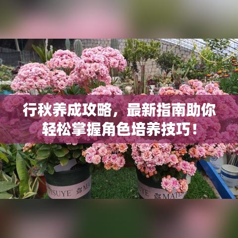 行秋養(yǎng)成攻略，最新指南助你輕松掌握角色培養(yǎng)技巧！