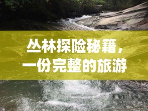 叢林探險秘籍，一份完整的旅游攻略