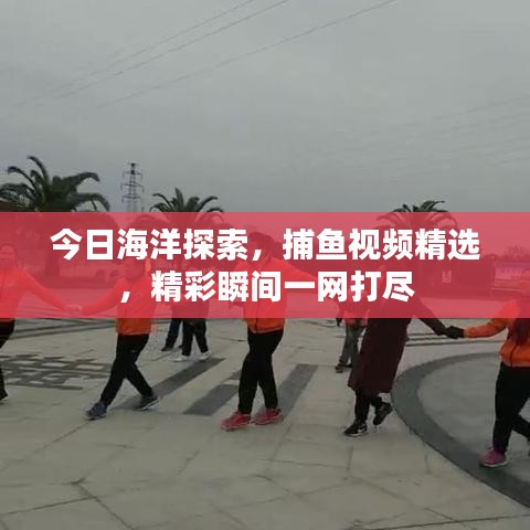 今日海洋探索，捕魚(yú)視頻精選，精彩瞬間一網(wǎng)打盡