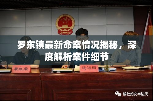 羅東鎮(zhèn)最新命案情況揭秘，深度解析案件細節(jié)