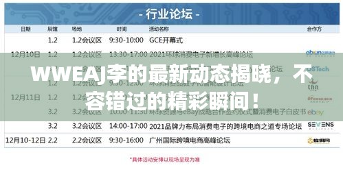 WWEAJ李的最新動態(tài)揭曉，不容錯過的精彩瞬間！
