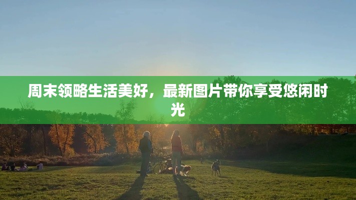 周末領(lǐng)略生活美好，最新圖片帶你享受悠閑時(shí)光