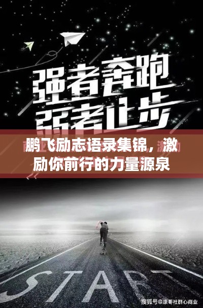 鵬飛勵志語錄集錦，激勵你前行的力量源泉