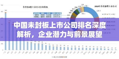 中國未封板上市公司排名深度解析，企業(yè)潛力與前景展望