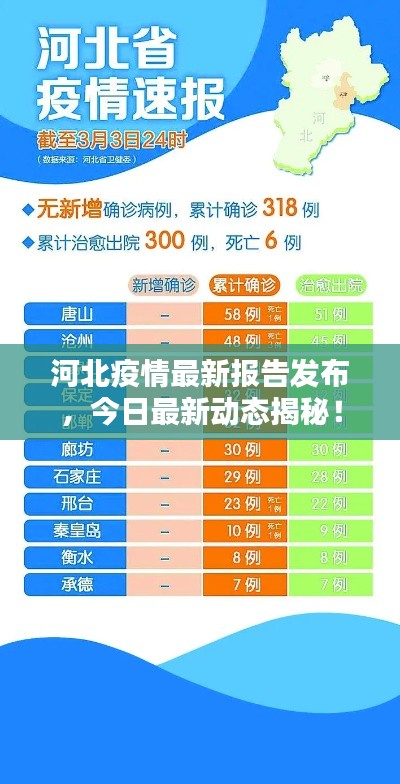 河北疫情最新報(bào)告發(fā)布，今日最新動(dòng)態(tài)揭秘！