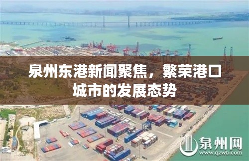 泉州東港新聞聚焦，繁榮港口城市的發(fā)展態(tài)勢