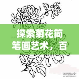 探索菊花簡筆畫藝術，百度上的創(chuàng)意手繪之旅