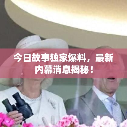 今日故事獨(dú)家爆料，最新內(nèi)幕消息揭秘！
