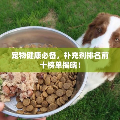 寵物健康必備，補(bǔ)充劑排名前十榜單揭曉！