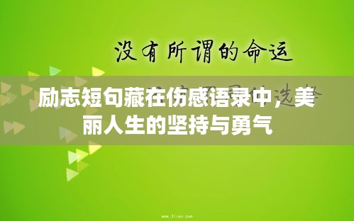 勵(lì)志短句藏在傷感語錄中，美麗人生的堅(jiān)持與勇氣