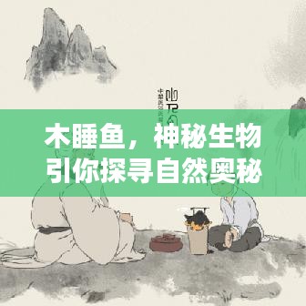 木睡魚，神秘生物引你探尋自然奧秘